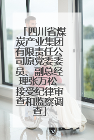 四川省煤炭产业集团有限责任公司原党委委员、副总经理张万松 接受纪律审查和监察调查