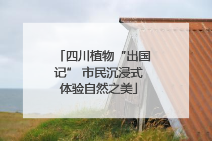四川植物“出国记” 市民沉浸式体验自然之美