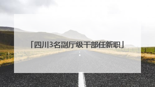 四川3名副厅级干部任新职