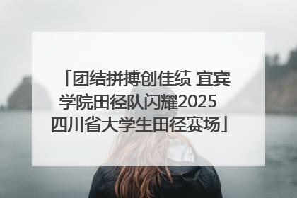 团结拼搏创佳绩 宜宾学院田径队闪耀2025四川省大学生田径赛场