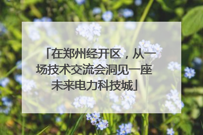 在郑州经开区，从一场技术交流会洞见一座未来电力科技城