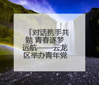 对话携手共勉 青春逐梦远航——云龙区举办青年党员“迎七一话成长挑大梁”交流活动