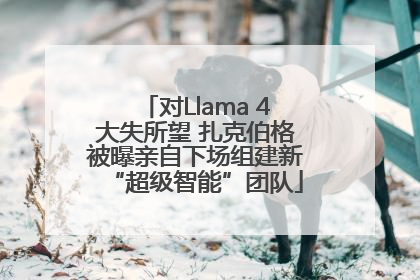 对Llama 4大失所望 扎克伯格被曝亲自下场组建新“超级智能”团队