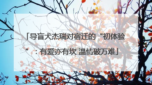 导盲犬杰瑞对宿迁的“初体验”：有爱亦有坎 温情破万难