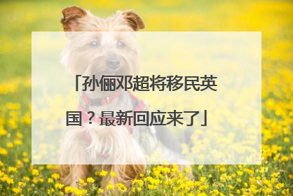 孙俪邓超将移民英国？最新回应来了