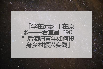学在远乡 干在原乡——看宜昌“90”后海归青年如何投身乡村振兴实践