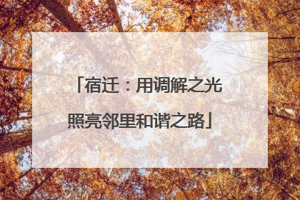 宿迁：用调解之光照亮邻里和谐之路