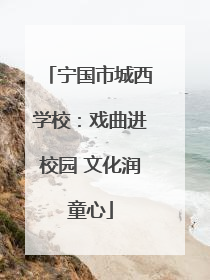 宁国市城西学校：戏曲进校园 文化润童心