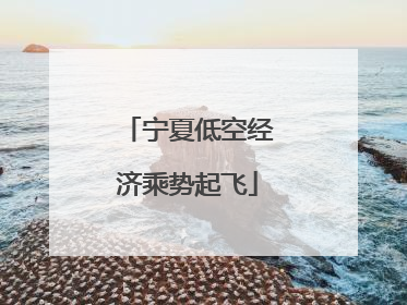 宁夏低空经济乘势起飞
