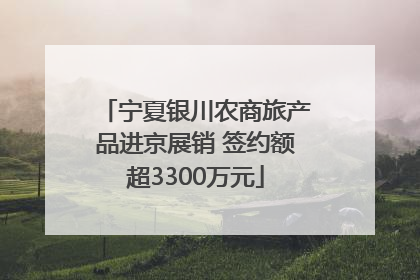 宁夏银川农商旅产品进京展销 签约额超3300万元