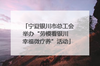 宁夏银川市总工会举办“劳模看银川 幸福微疗养”活动