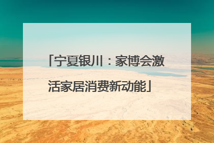 宁夏银川：家博会激活家居消费新动能