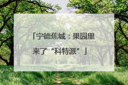 宁德蕉城：果园里来了“科特派”
