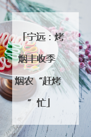 宁远：烤烟丰收季 烟农“赶烤”忙