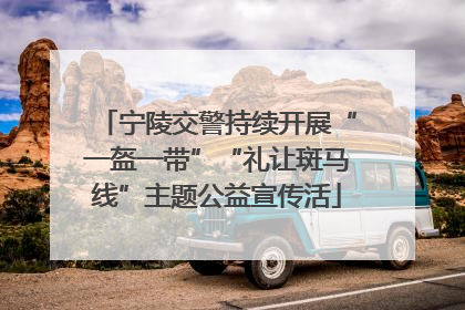 宁陵交警持续开展“一盔一带”“礼让斑马线”主题公益宣传活