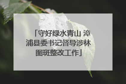 守好绿水青山 漳浦县委书记督导涉林图斑整改工作