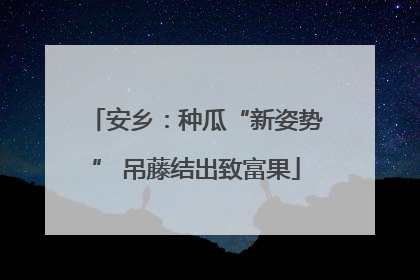 安乡：种瓜“新姿势” 吊藤结出致富果