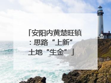 安阳内黄楚旺镇：思路“上新” 土地“生金”