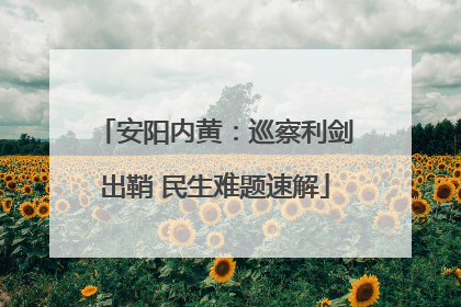 安阳内黄：巡察利剑出鞘 民生难题速解