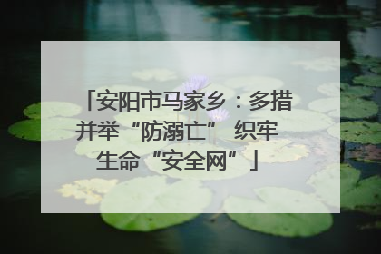 安阳市马家乡：多措并举“防溺亡” 织牢生命“安全网”