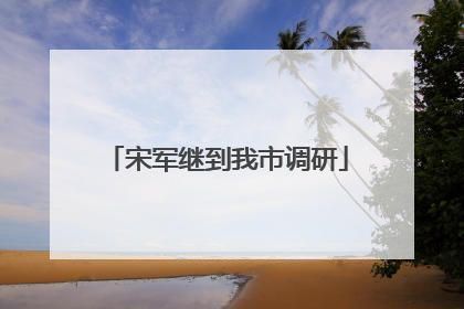 宋军继到我市调研