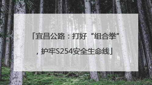 宜昌公路：打好“组合拳”，护牢S254安全生命线