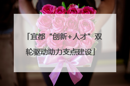 宜都“创新+人才”双轮驱动助力支点建设