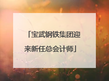宝武钢铁集团迎来新任总会计师
