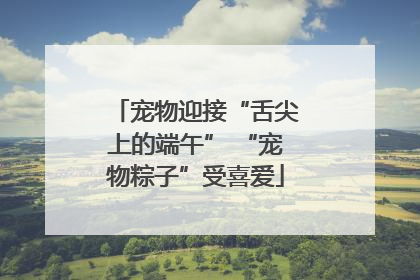 宠物迎接“舌尖上的端午” “宠物粽子”受喜爱