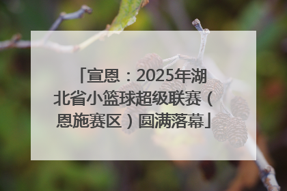 宣恩：2025年湖北省小篮球超级联赛（恩施赛区）圆满落幕