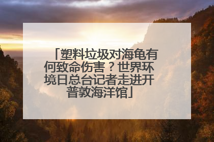 塑料垃圾对海龟有何致命伤害？世界环境日总台记者走进开普敦海洋馆