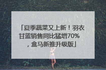 夏季蔬菜又上新！羽衣甘蓝销售同比猛增70%，盒马新推升级版