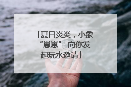 夏日炎炎，小象“崽崽” 向你发起玩水邀请