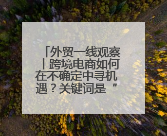 外贸一线观察丨跨境电商如何在不确定中寻机遇？关键词是“新”