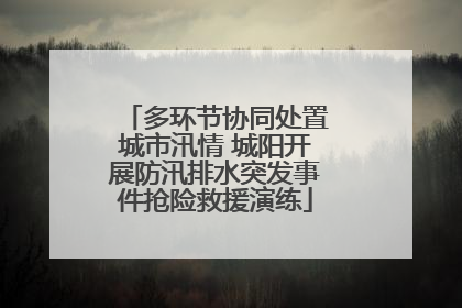 多环节协同处置城市汛情 城阳开展防汛排水突发事件抢险救援演练