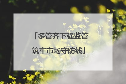 多管齐下强监管 筑牢市场守防线