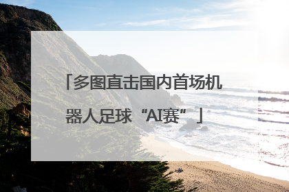 多图直击国内首场机器人足球“AI赛”