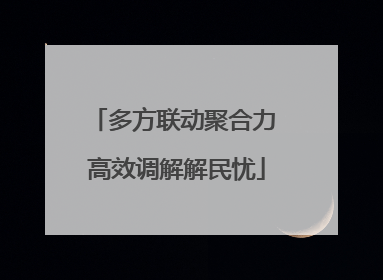 多方联动聚合力 高效调解解民忧