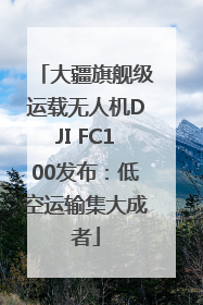 大疆旗舰级运载无人机DJI FC100发布：低空运输集大成者