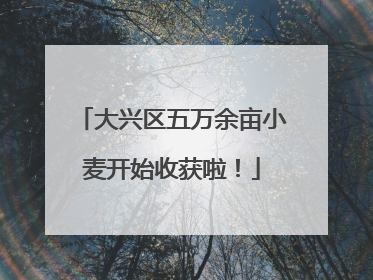 大兴区五万余亩小麦开始收获啦！