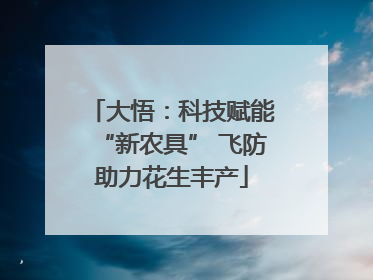 大悟：科技赋能“新农具” 飞防助力花生丰产