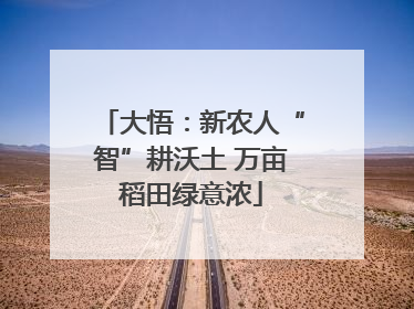 大悟：新农人“智”耕沃土 万亩稻田绿意浓