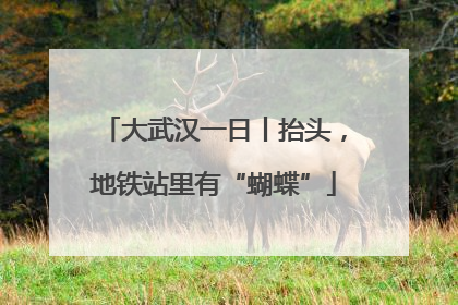 大武汉一日丨抬头，地铁站里有“蝴蝶”