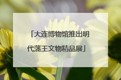 大连博物馆推出明代藩王文物精品展
