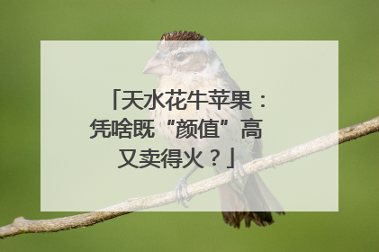 天水花牛苹果：凭啥既“颜值”高又卖得火？