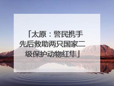 太原：警民携手 先后救助两只国家二级保护动物红隼