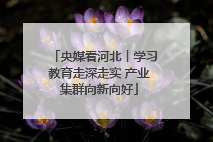 央媒看河北丨学习教育走深走实 产业集群向新向好