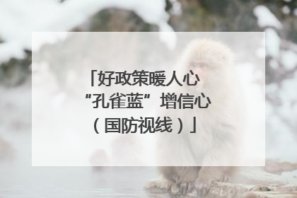 好政策暖人心 “孔雀蓝”增信心（国防视线）