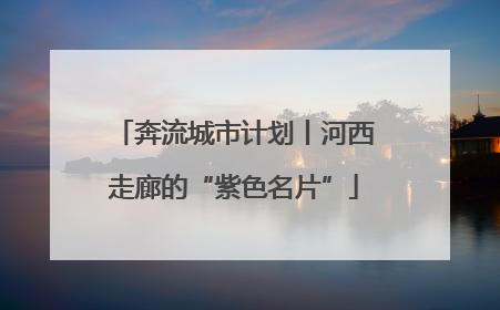 奔流城市计划丨河西走廊的“紫色名片”