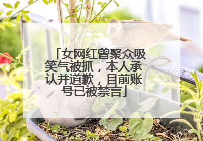 女网红曾聚众吸笑气被抓，本人承认并道歉，目前账号已被禁言